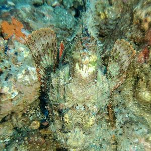 29ED52A6-CAE3-47FB-8959-FC8786D51D03