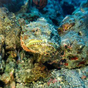 C31F8460-A07B-4B65-9340-837E2E36662F