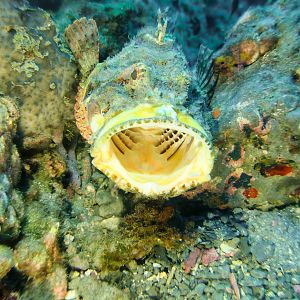 5BC74C61-A8E0-4B36-927E-7EA1027F401A