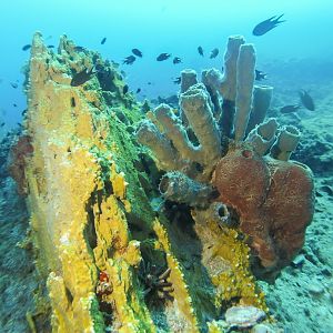 10DAC824-20D2-47D7-AED8-22D578EEEF3B