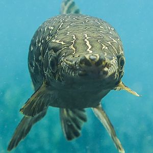 Does my nose look big in this?