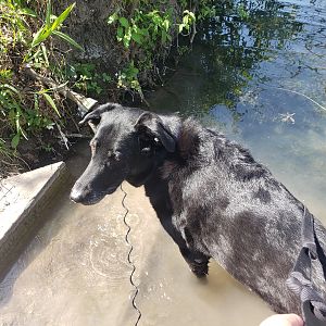 Ellie tests the water for the first time