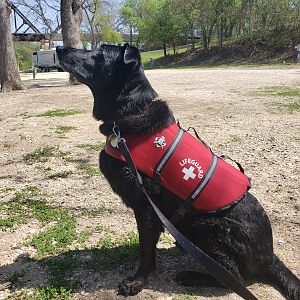 Ellie watching the squirrel family
