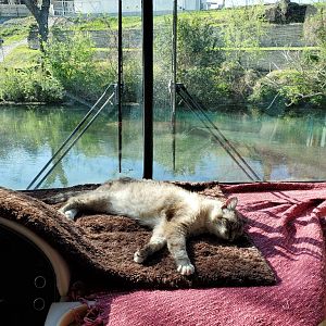 Lily is resting up for the weekend