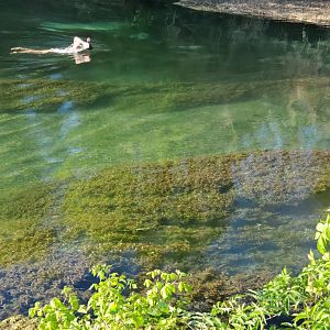 Crystal Clear Comal