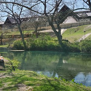Friday afternoon along the Comal banks