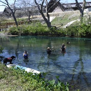 Friday afternoon dip in the river