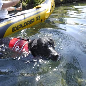 Ellie Bear likes the water