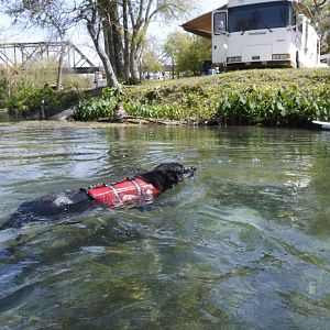 Swim, Ellie, Swim
