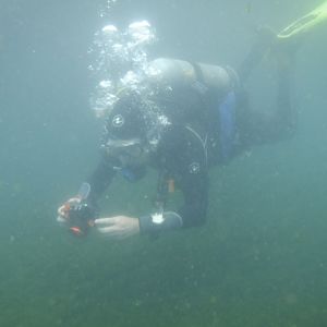 GaryDiver 03