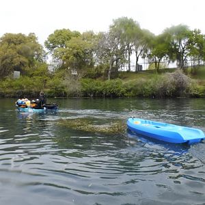 Seaagg05 paddles back upstream after the dive is over