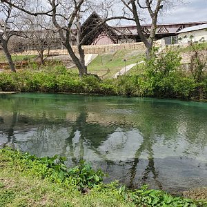 Post Weekend Calm - Comal 01