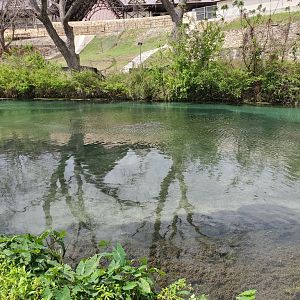 Post Weekend Calm - Comal 02