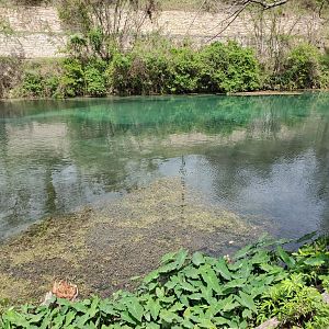 Post Weekend Calm - Comal 04
