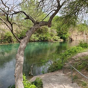Post Weekend Calm - Comal 04