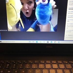 Aug '20 meeting - Siren looking fishy