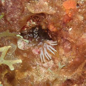 4937A695-0006-41DF-BB22-0F5A3E04D5CF