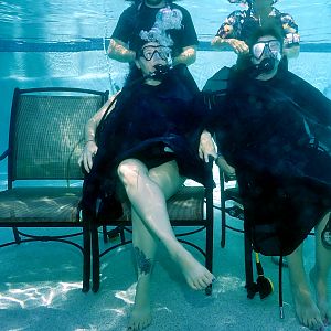 The official submission