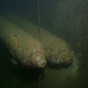 Damn the torpedoes