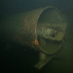 fish in the hole
