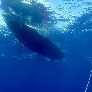 Diver I