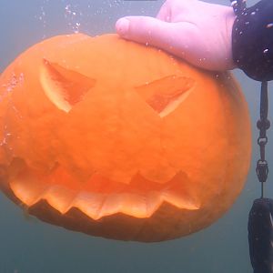 Underwater Pumpkin Carving at Mammoth Lake - October 2021