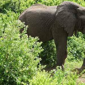 DSC00197_1