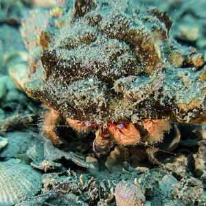 I’m a hermit: leave me alone