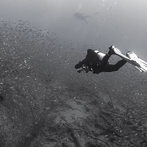 North Carolina wrecks