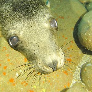 Can I be your friend?