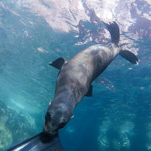 Just a little nibble