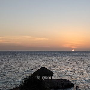 PXL_20211109_220646338