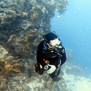 Deep Bubbles chillin'