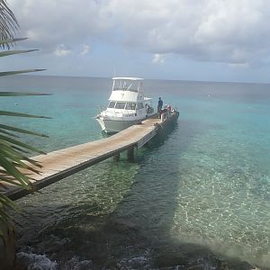 Alice in Wonderland dock