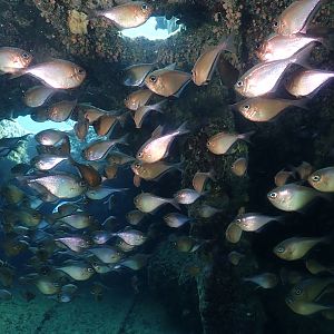 Still going in circles