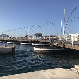 Queen Emma Bridge opening