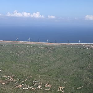 Wind turbines on the east side
