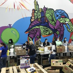Janavi’s art as our backdrop?