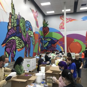 Food Bank volunteer day