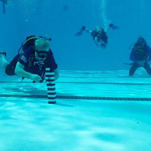 ReefHound making his move