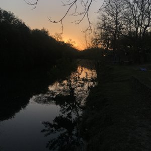 Comal County morning