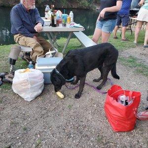 Ellie LOVES Corn on the Cob