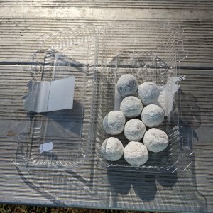 Breakfast of Champions