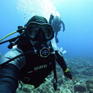AdamBOM enjoying the coral