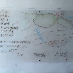 31 - 7 June dives on FG.jpg