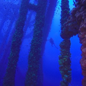 18 - Diver on HI 376B.JPG