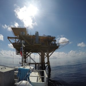 14 - MV Fling at High Island 376B.JPG