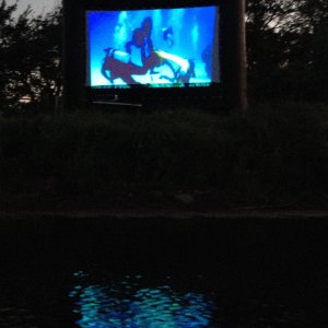 Mammoth movie night