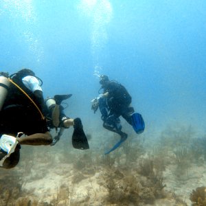 CHUMmers on Horseshoe Reef