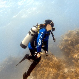 Deep Bubbles on Horseshoe Reef